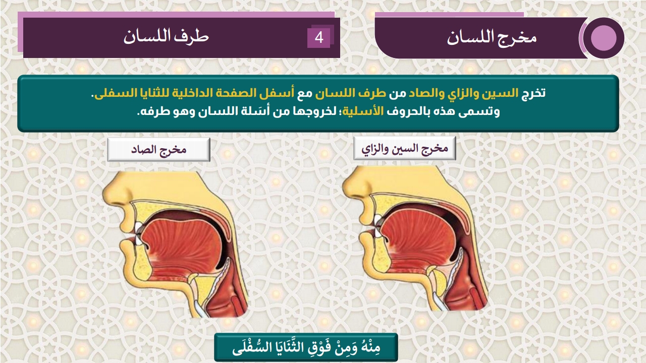 مخارج الحروف - الصفحة 16